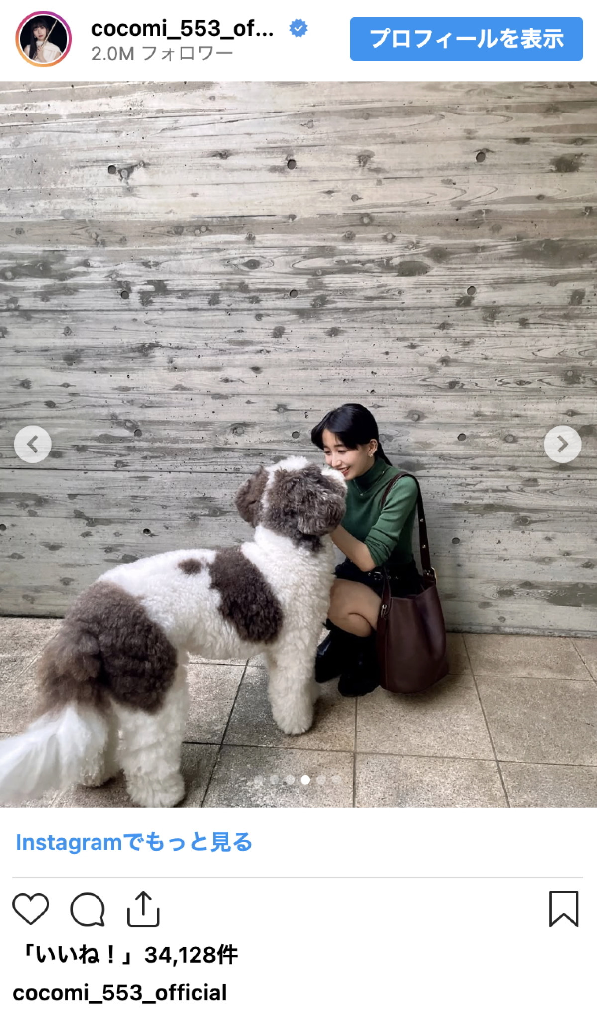 Cocomi、祖母撮影のミニスカショットで美脚あらわ　かわいい愛犬も登場「お出迎えしてくれました」
