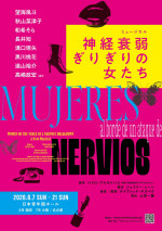 ミュージカル『神経衰弱ぎりぎりの女たち』チラシビジュアル