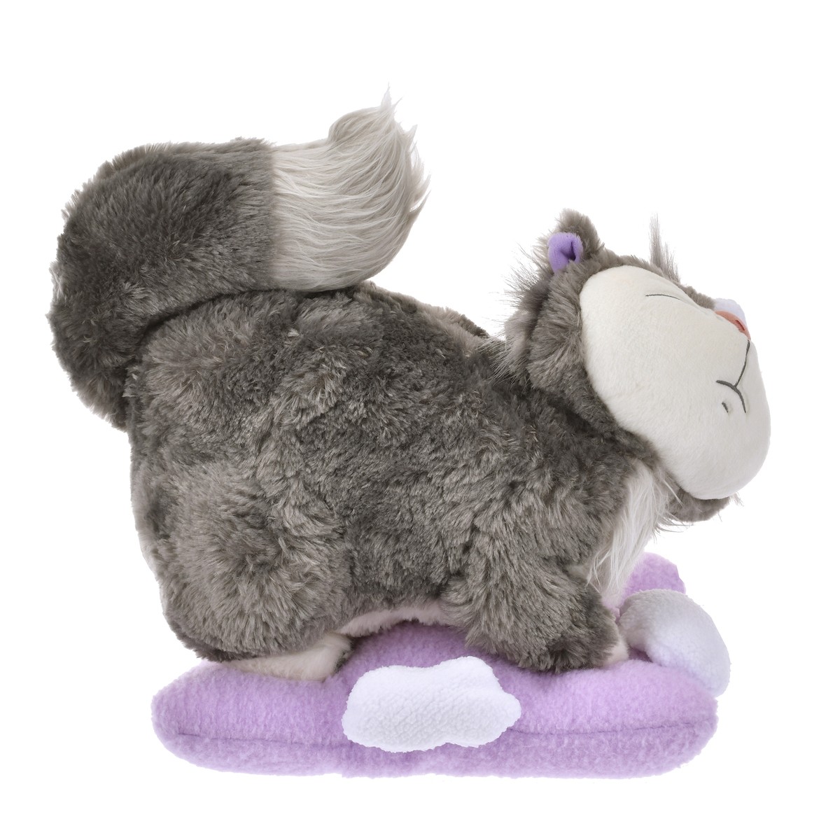 250203_DISNEY CAT DAY 2025