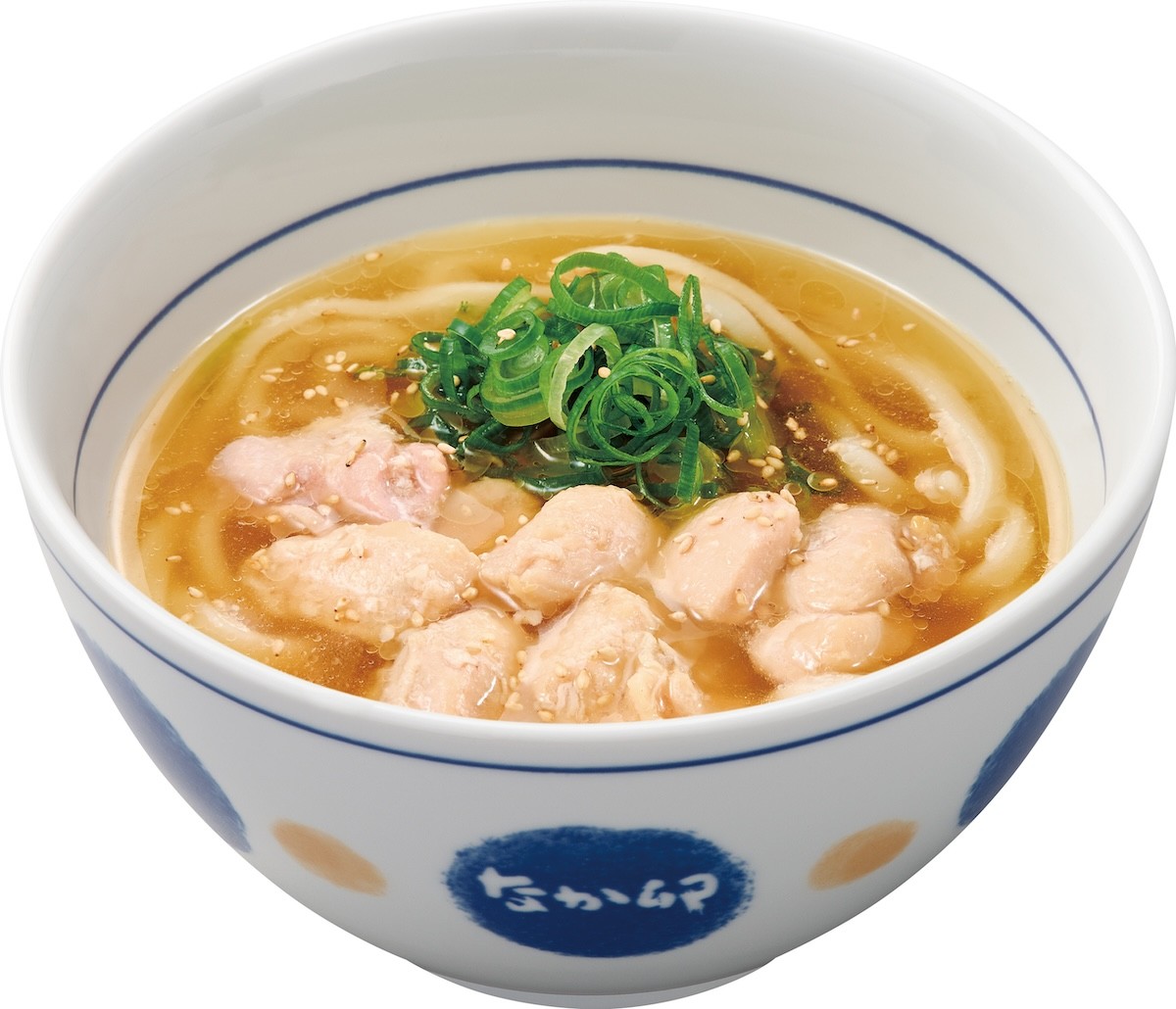 2025.2.26「白髪ねぎ鶏塩うどん」