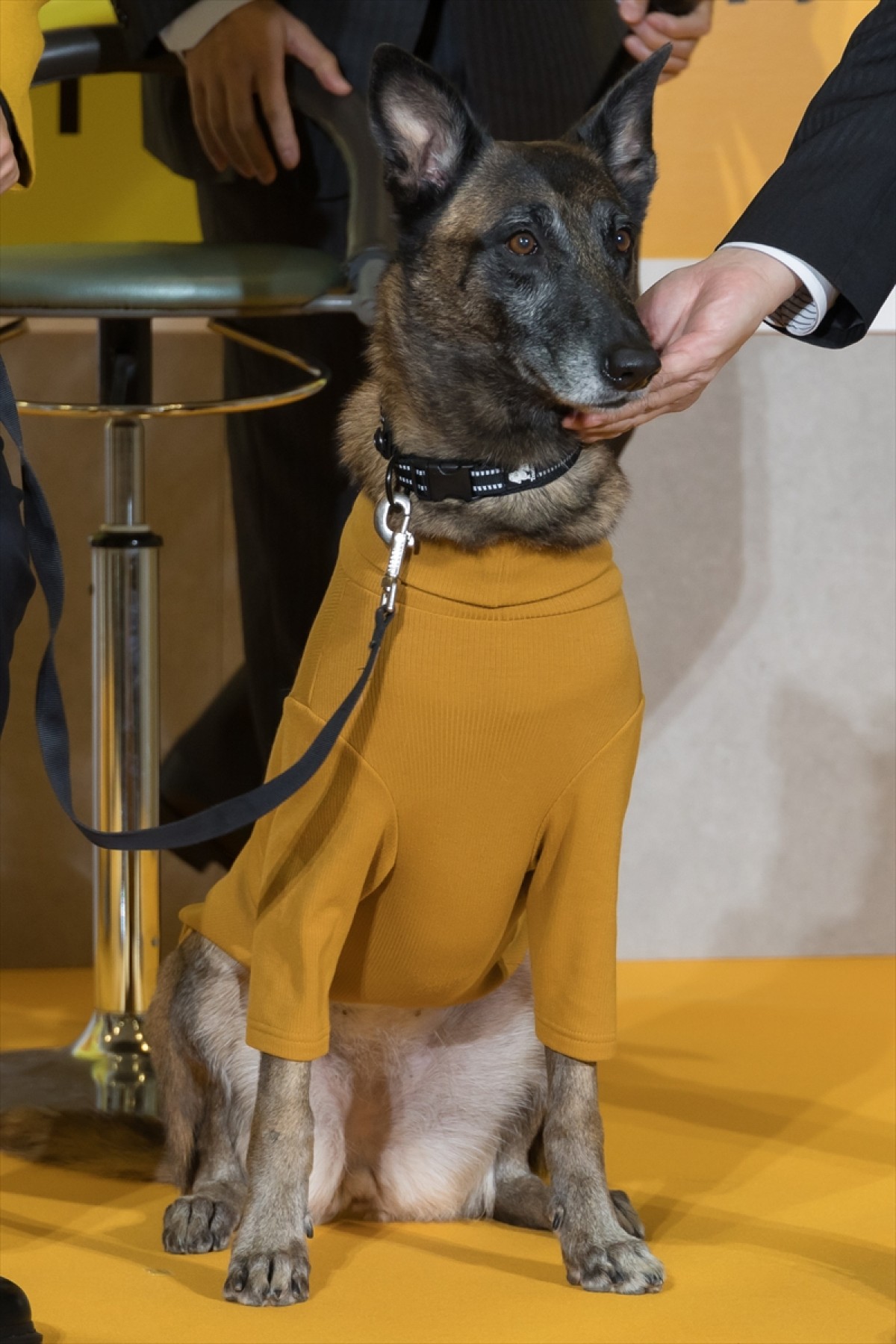 「そっくり」「見事」 『問題物件』“犬頭”上川隆也＆“犬太”コラレのシンクロに反響