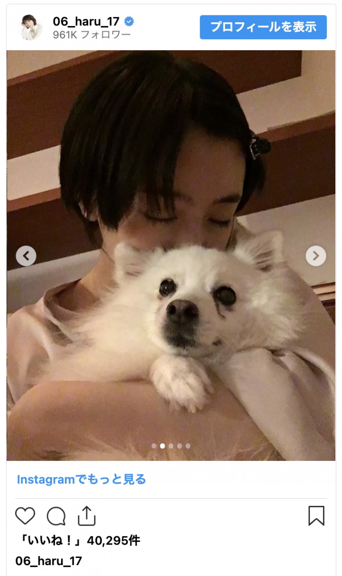 波瑠、大切な“家族”との別れを明かす「愛しい足音が聞こえてこなくなってもう一年」
