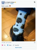 佐々木朗希投手、愛犬ラムちゃんのソックスを履いて入団会見に　※「ロサンゼルス・ドジャース」X