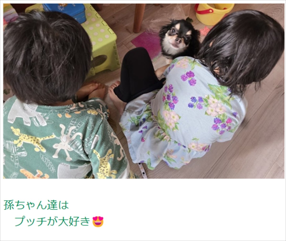 高橋英樹81歳、4歳＆2歳の孫たちにメロメロ「ほほえましい」「可愛いですね」　先日は3ショットも公開