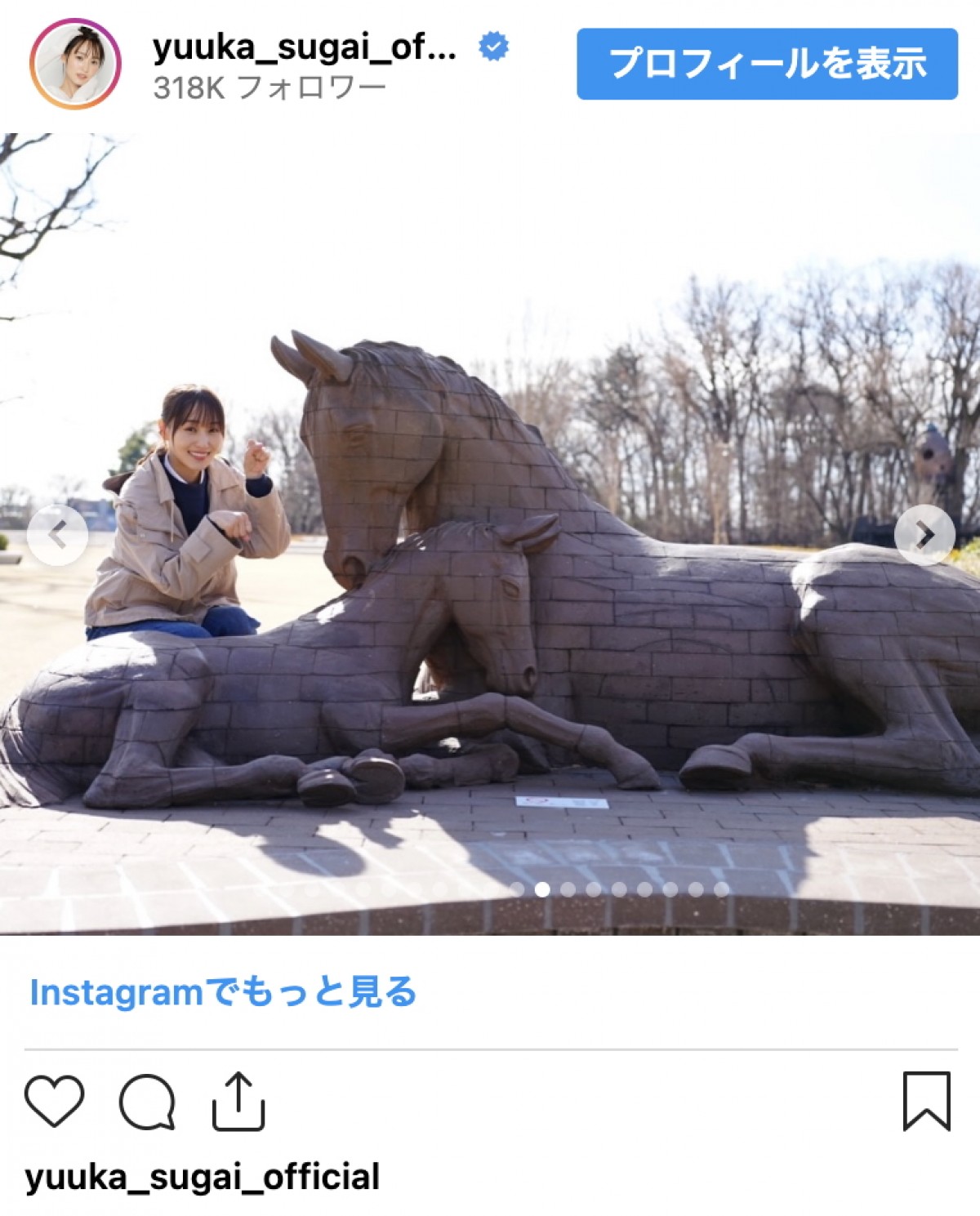 菅井友香、1年間のナビゲーター活動に幕　笑顔あふれる思い出ショットで振り返る“東京の魅力”