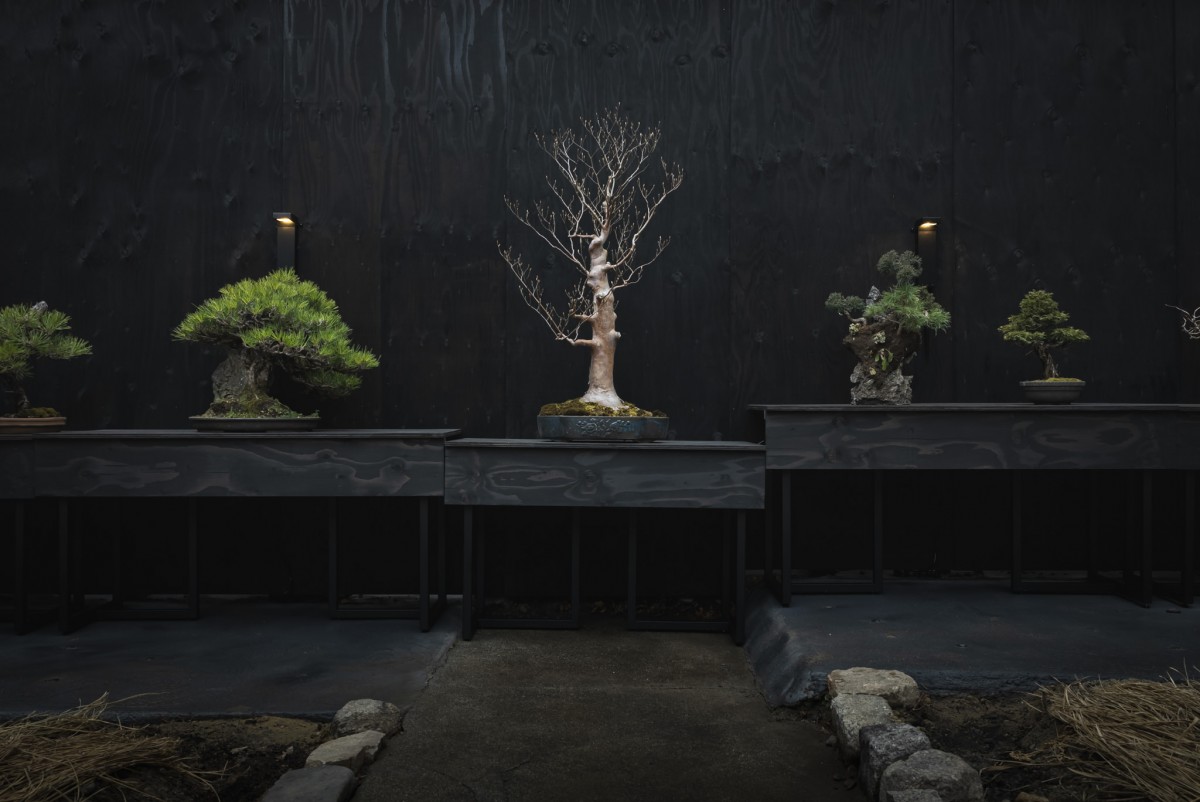 「調進所 紀ノ國屋京町家」20250331