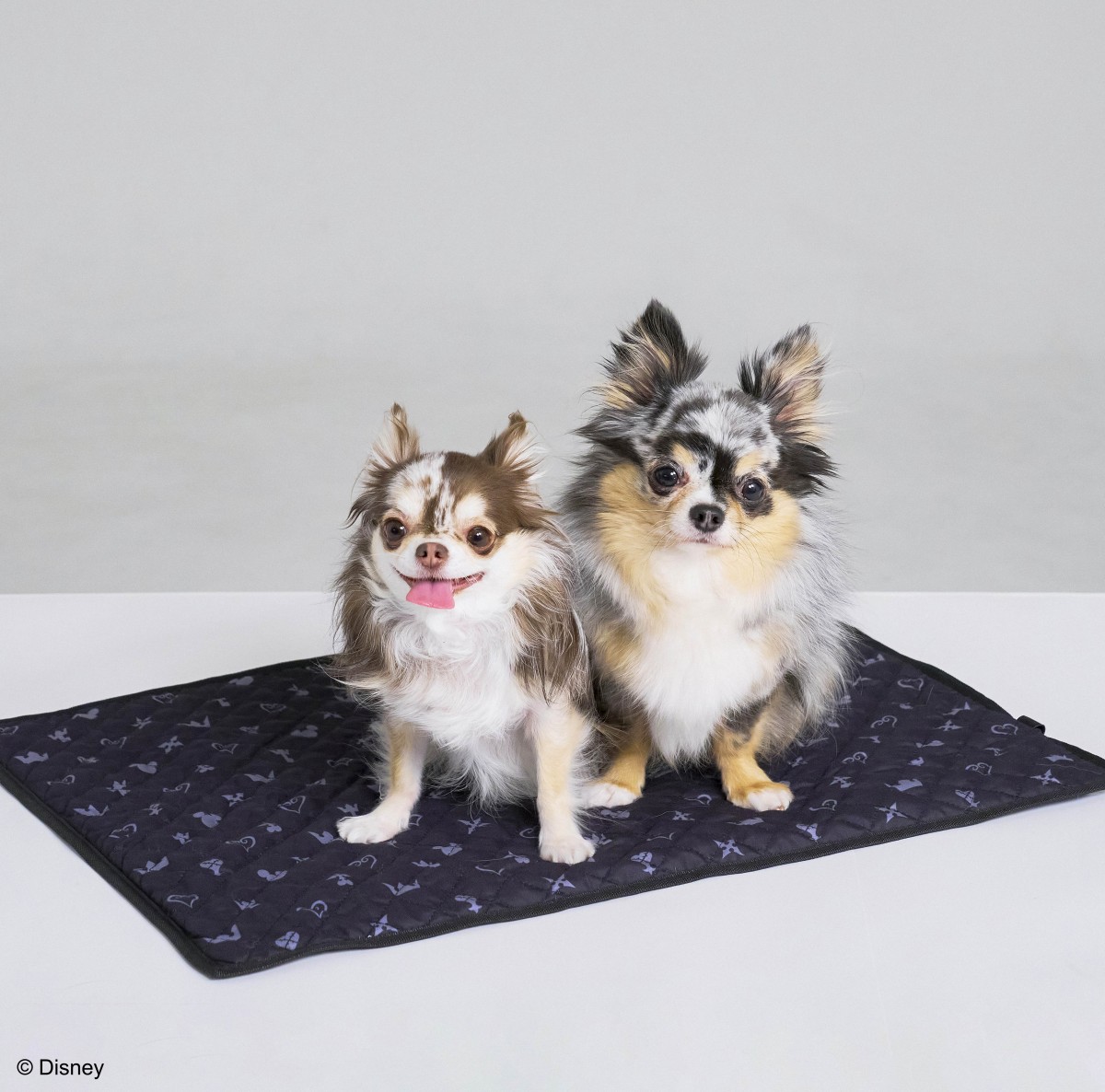 『KINGDOM HEARTS PETs』ペットグッズ＿20250403
