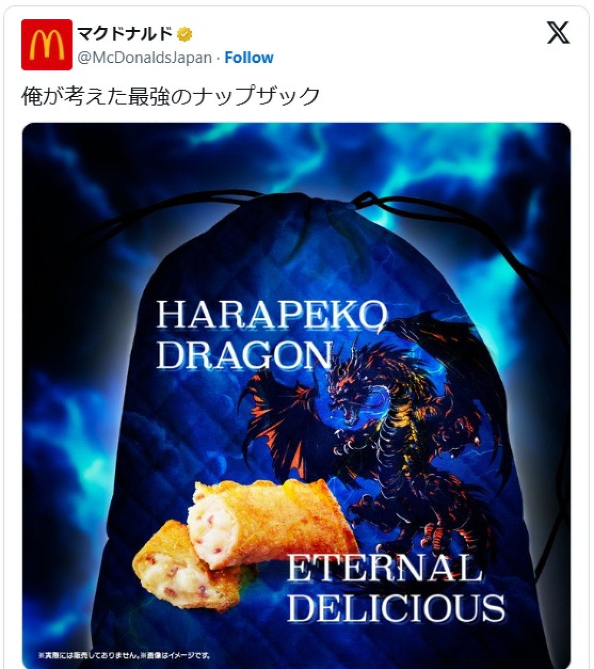 カッコいいドラゴンのナップザック　※「マクドナルド」エックス