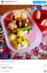 柳原可奈子、手作り弁当　※「柳原可奈子」インスタグラム
