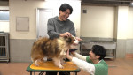 5月10日放送の『嗚呼‼みんなの動物園』より