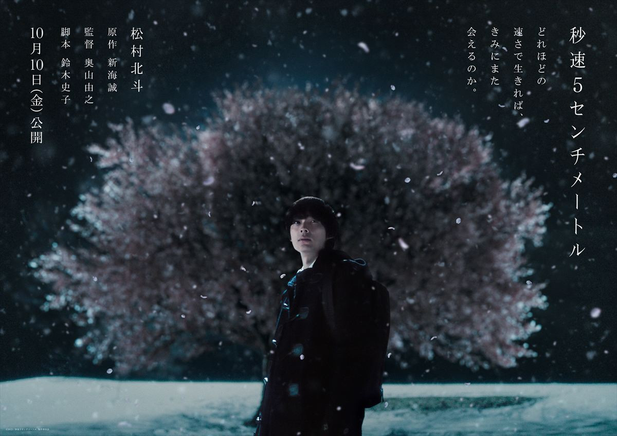 映画『秒速5センチメートル』ティザービジュアル