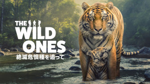 The Wild Ones 絶滅危惧種を追って