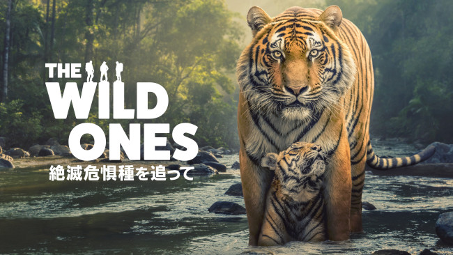 The Wild Ones 絶滅危惧種を追ってのメインビジュアル
