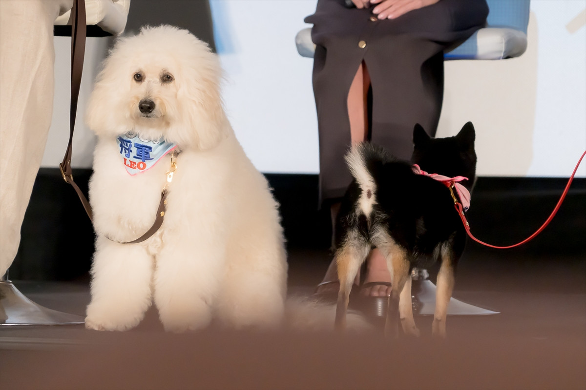 清原果耶、“愛犬”にメロメロ「癒やしでしかない。守りたいにつきます」