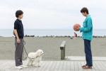 火曜ドラマ『初恋DOGs』第1話より