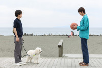 火曜ドラマ『初恋DOGs』第1話より