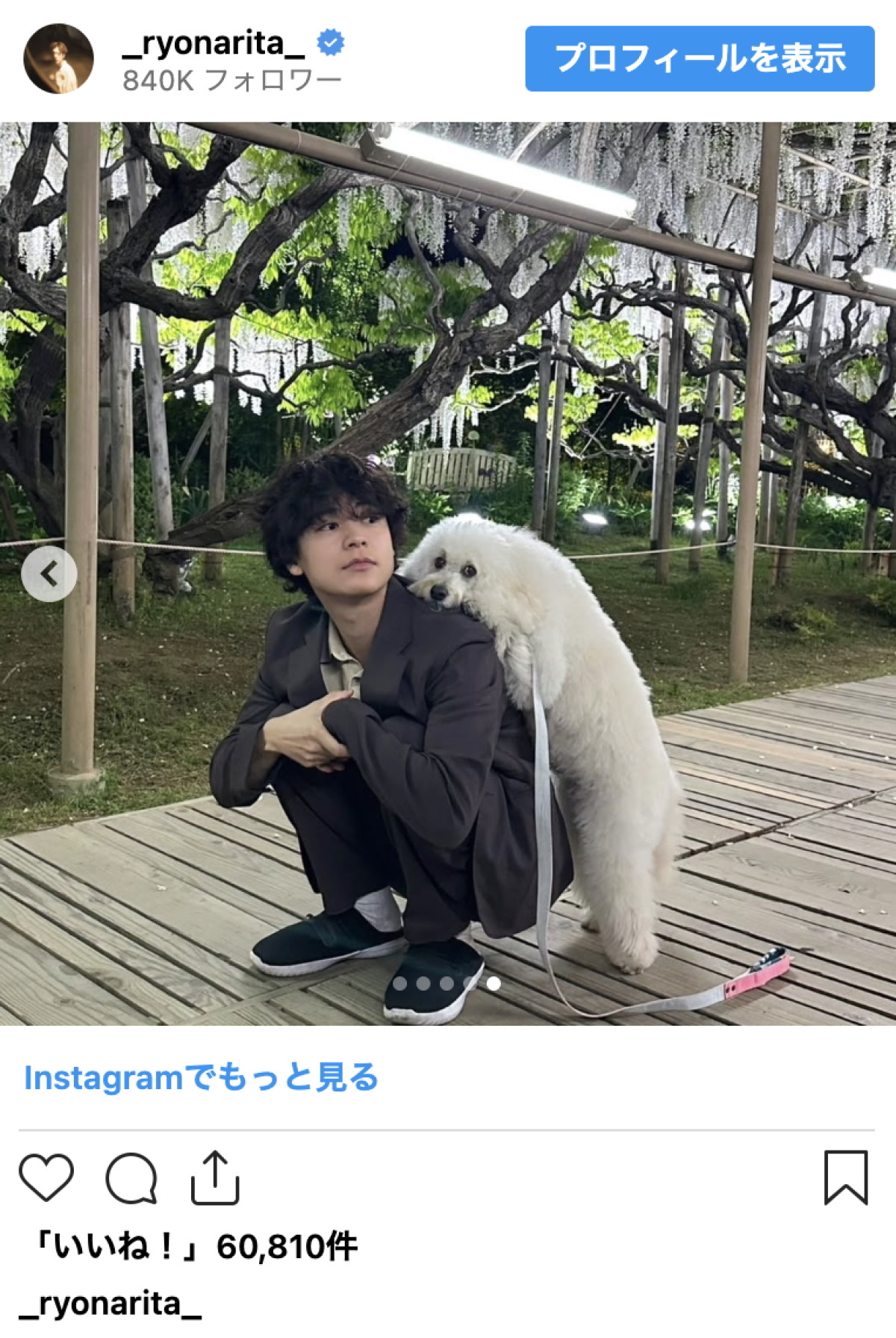 成田凌、もふもふ犬の“必殺技”に癒し全開「目がおんなじ」「反則級すぎる」