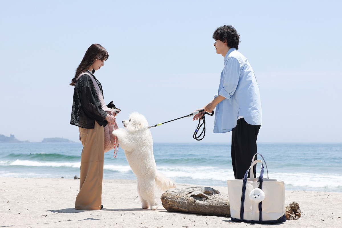 『初恋DOGs』第3話　“愛子”清原果耶、“快”成田凌に幼い日の思い出を打ち明ける