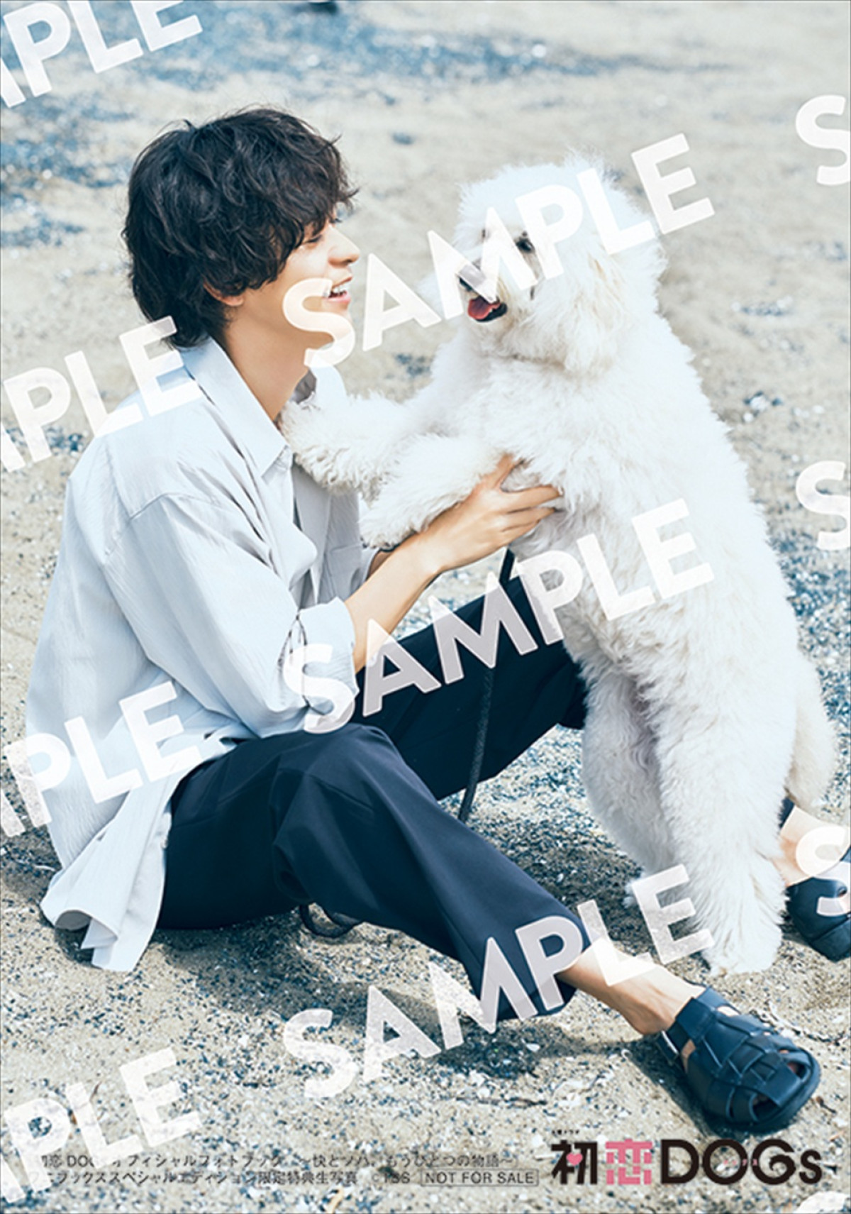成田凌＆ナ・イヌのインタビューも！　ドラマ『初恋DOGs』公式フォトブック、8.22発売　購入者特典も明らかに