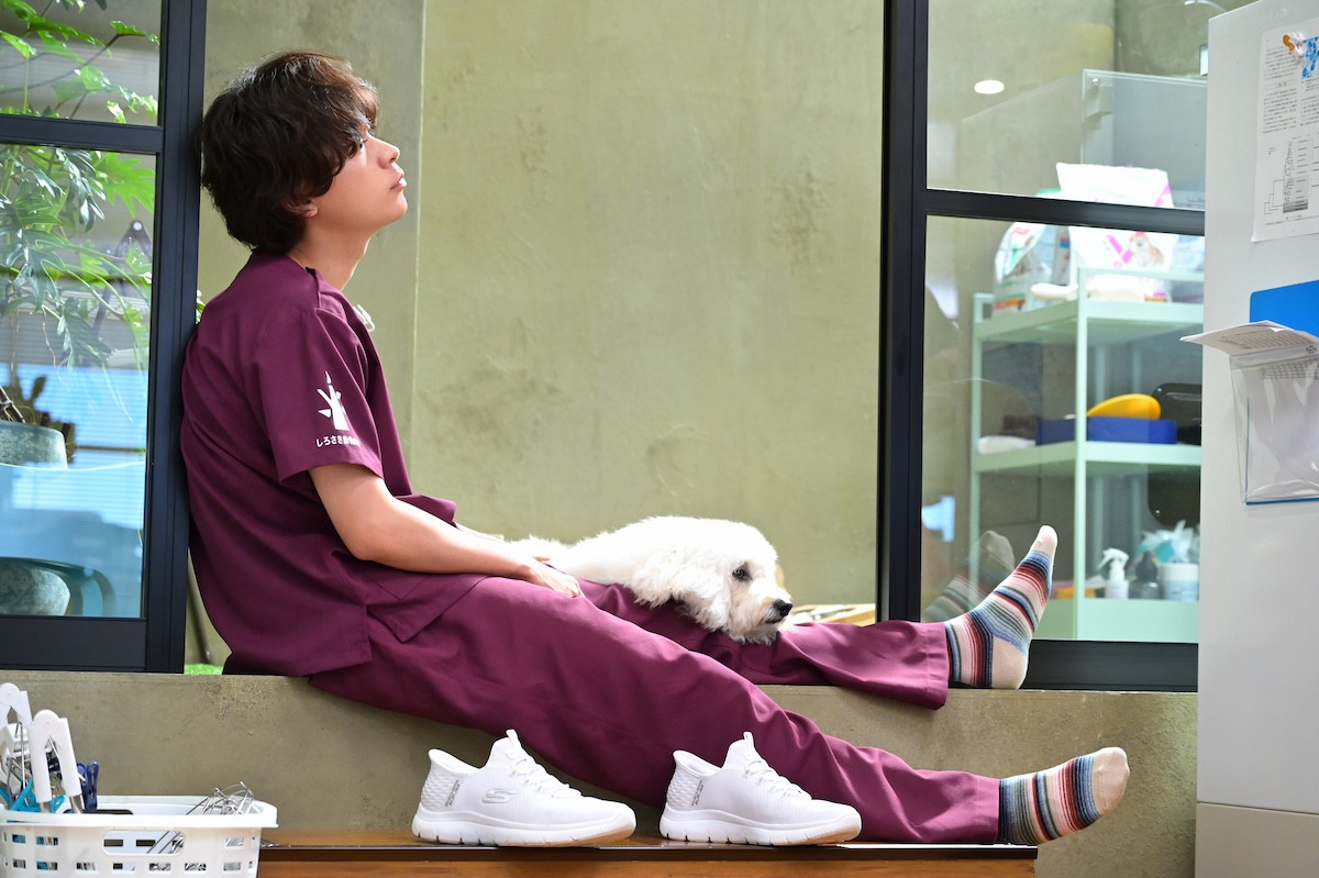 『初恋DOGs』第5話　“愛子”清原果耶、“快”成田凌たちの過去の恋模様を知る