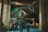 映画『ジュラシック・ワールド／復活の大地』場面写真