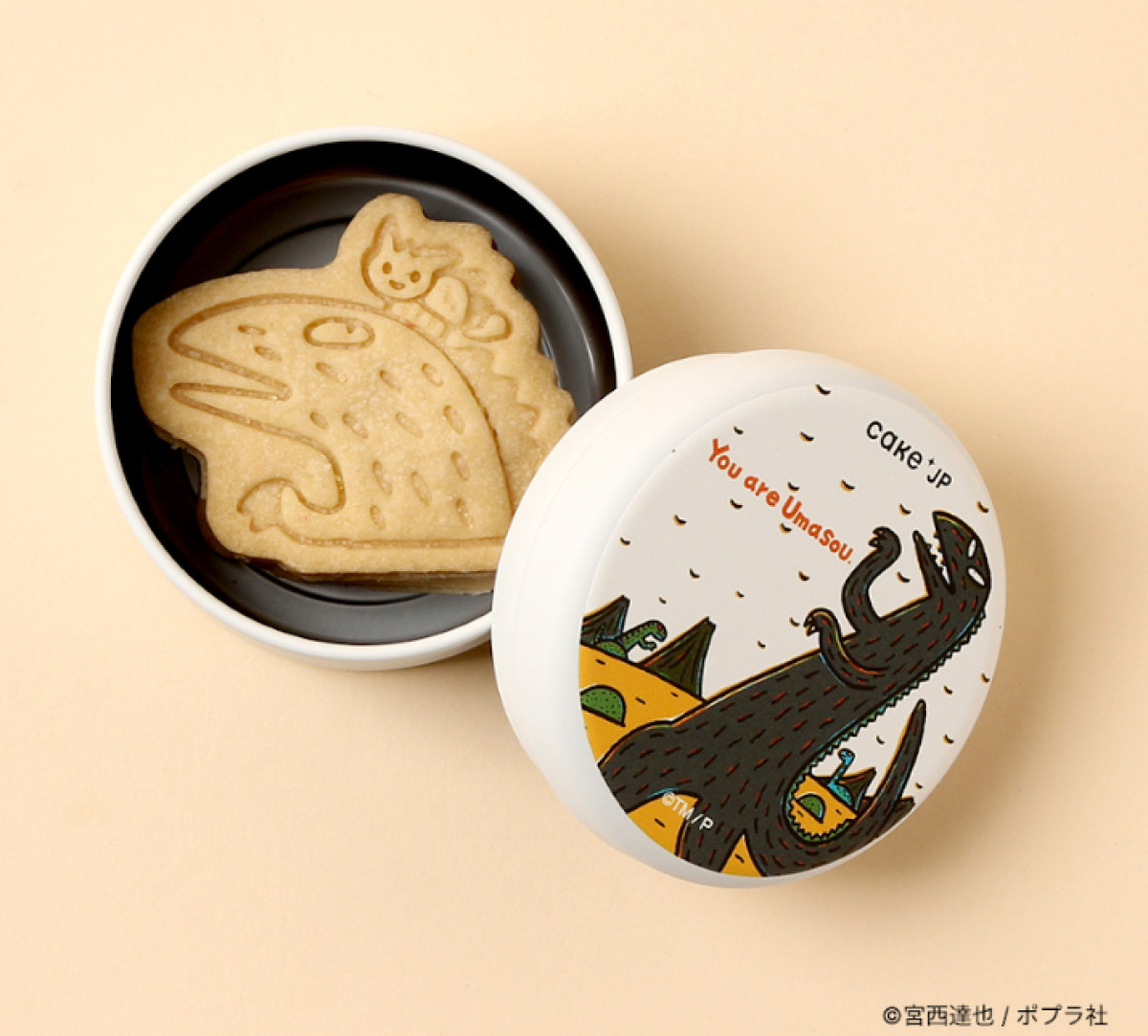 20250813 名作絵本のクッキー缶