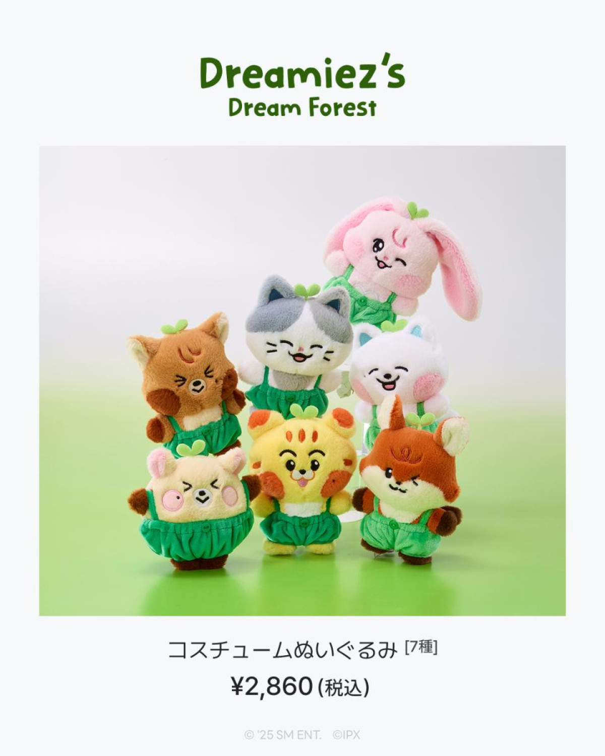 251008「Dreamiez’s Dream Forest POP－UP」