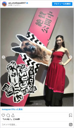 森川葵の美しいドレス姿　※「森川葵」インスタグラム