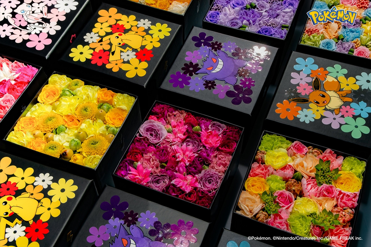 20251119_ニコライバーグマン