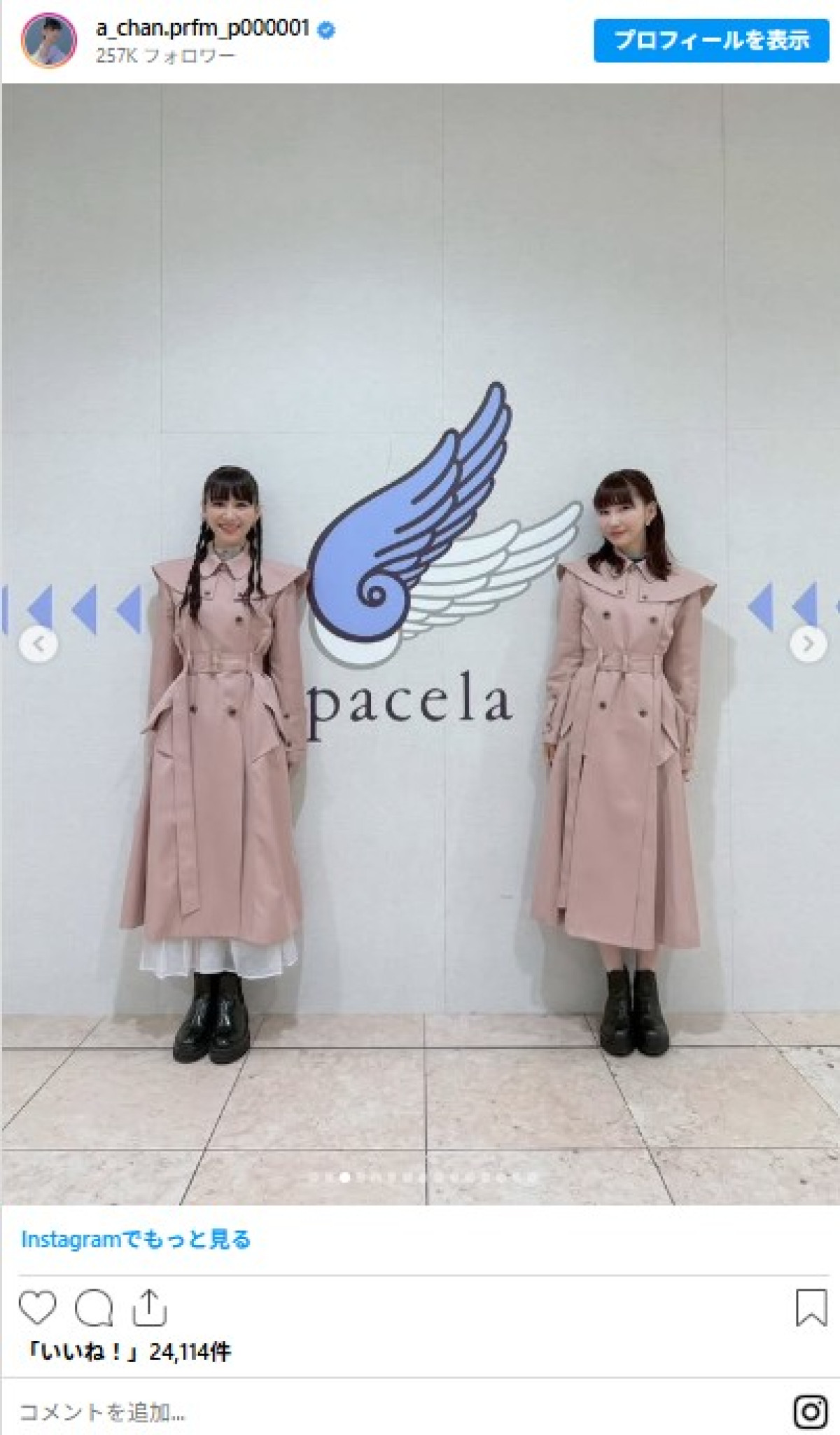 芸能人の“双子コーデ”がかわいい！　朝ドラ抜てき女優に超人気局アナも