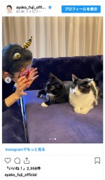 藤あや子、愛猫たちの前でヒョウ柄の節分鬼に変身　※「藤あや子」インスタグラム