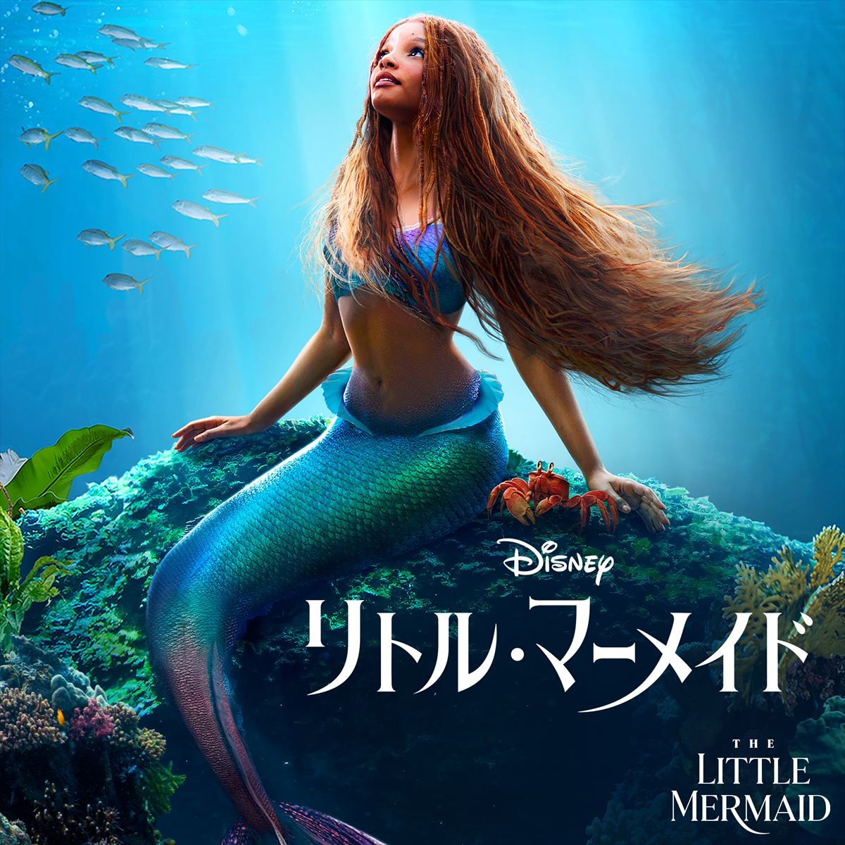 映画『リトル・マーメイド』ビジュアル