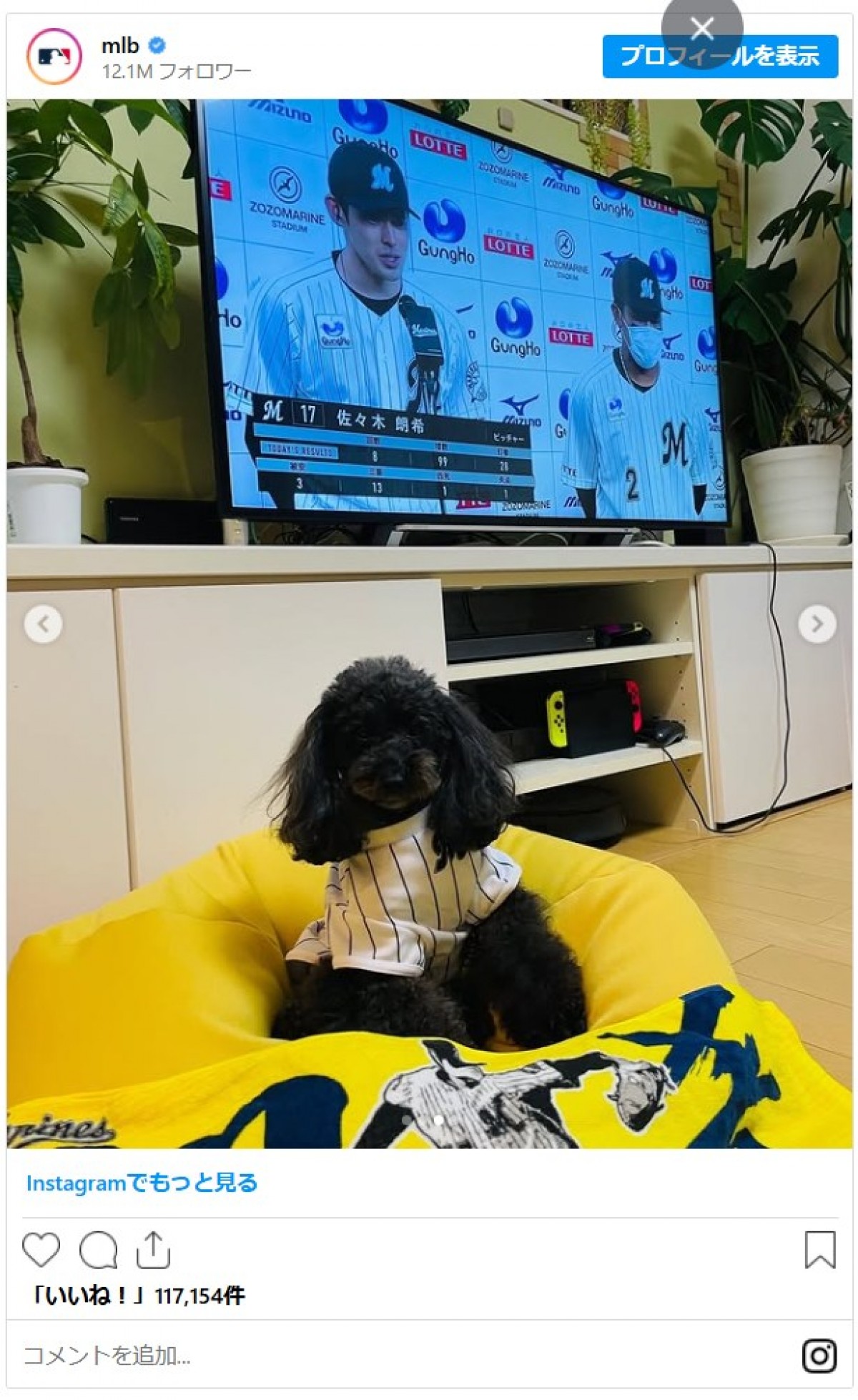 デコピンだけじゃない！　佐々木投手、山本投手も…ドジャース選手たちのキュートな愛犬まとめ