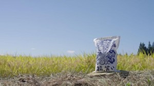 米どころ・ふくしまが誇るブランド米「福,笑い」の魅力を紹介！　縁起がいい名前＆パッケージはギフトにもぴったり