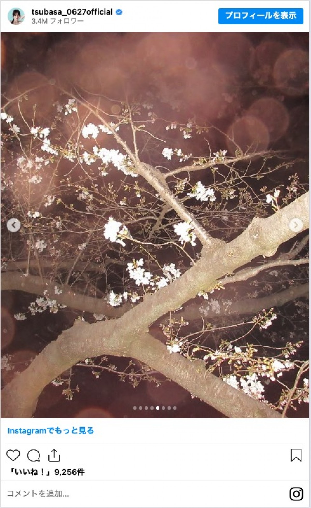 本田翼、あのとの“夜桜ショット”公開　「お花見デートいいね」「仲良し」と反響