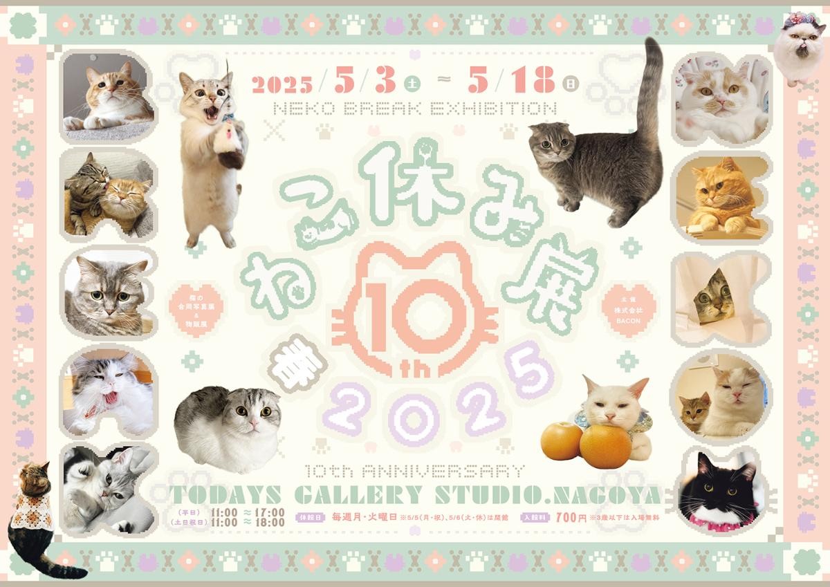 20250325「ねこ休み展 春 2025 in 名古屋」