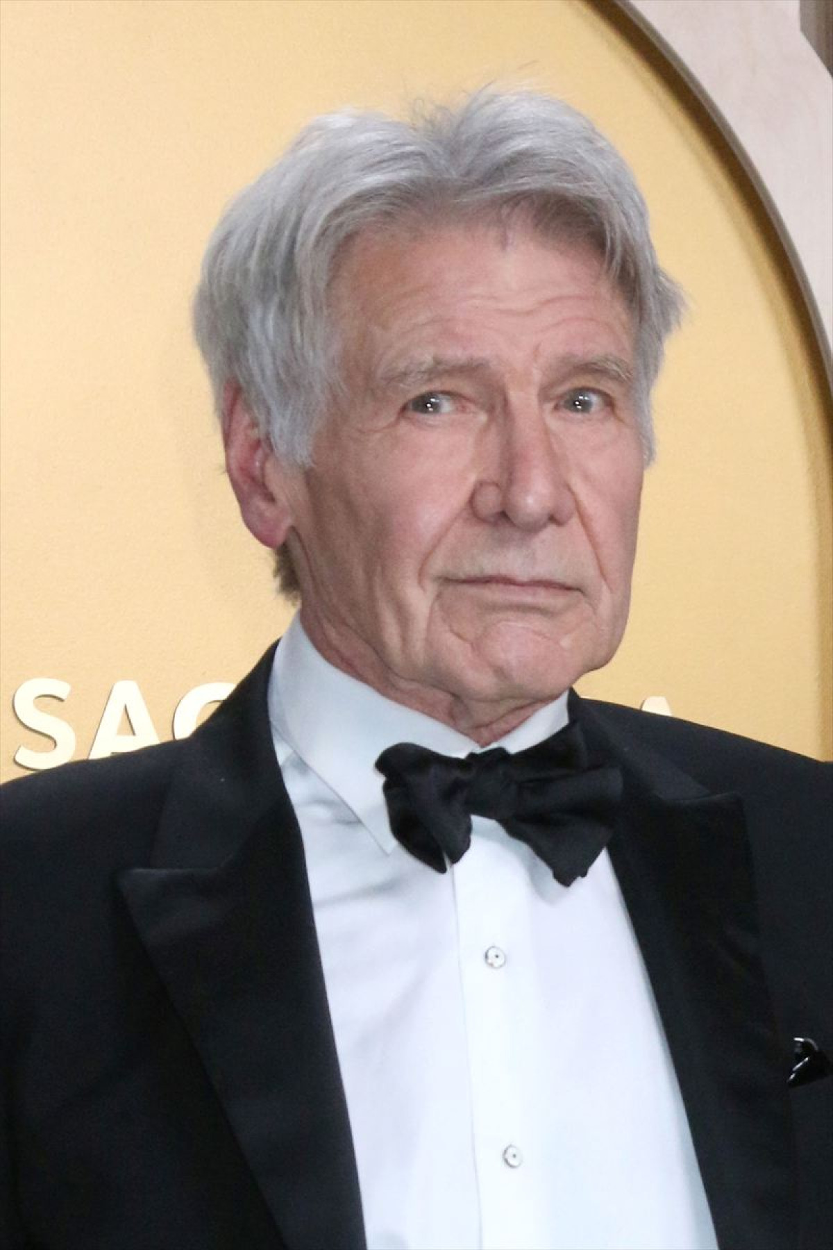 ハン・ソロとレイア姫の“関係”とは　『スター・ウォーズ エピソード4』キャストたちの“その後”