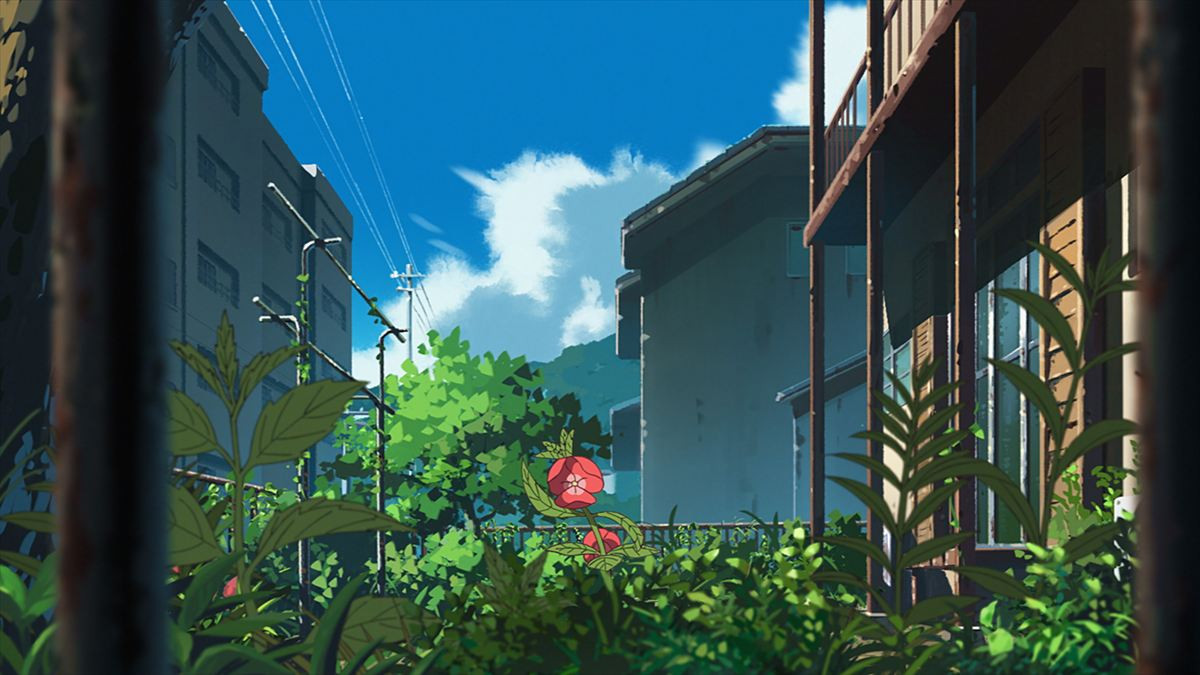「オッドタクシー」タッグ・⽊下⻨✕此元和津也が贈る『ホウセンカ』今秋公開決定！　主演は⼩林薫＆⼾塚純貴