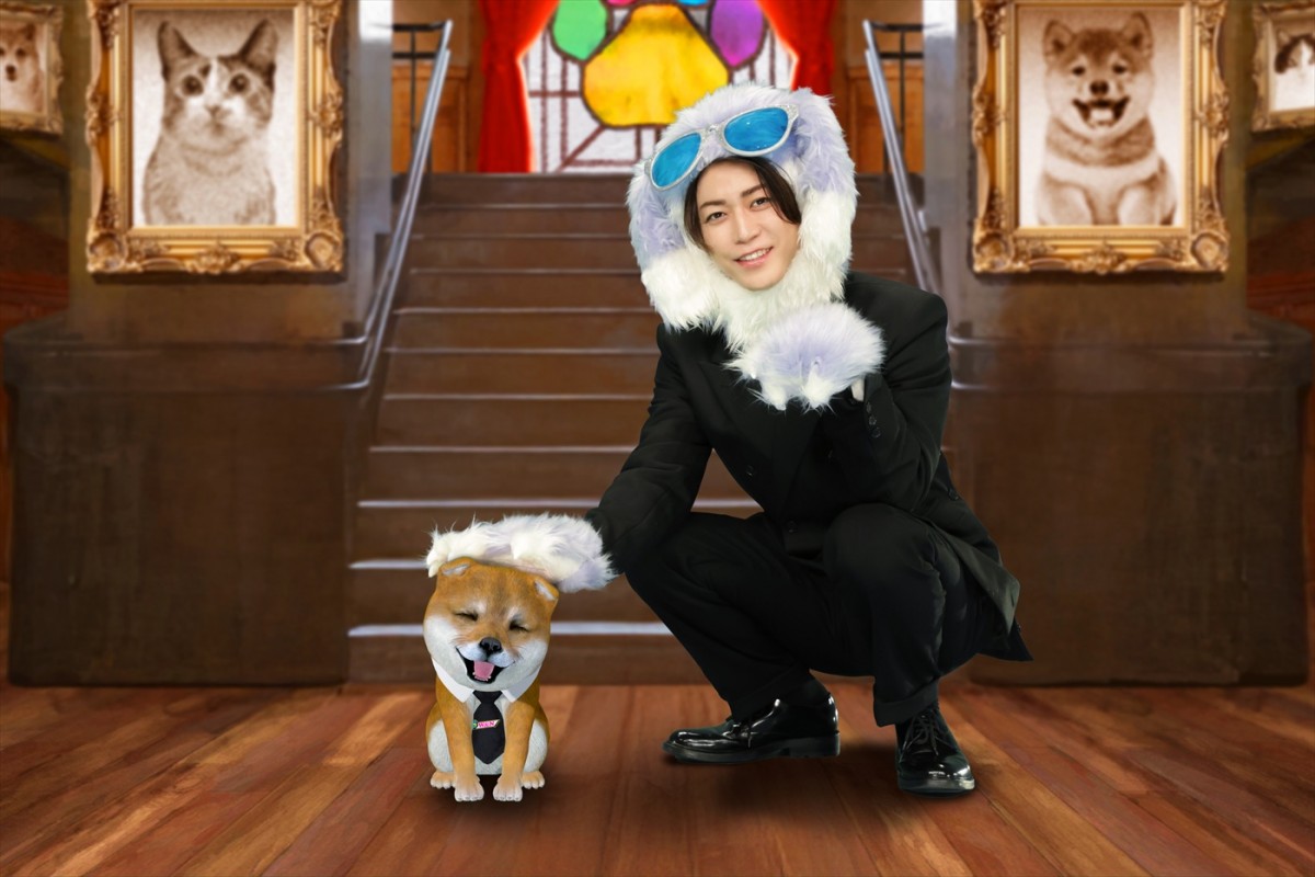 『世界を救う!ワンにゃフル物語 柴と三毛と亀梨くん』より進行役の柴犬・七之助、MCの亀梨和也