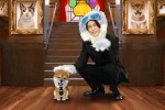 『世界を救う！ワンにゃフル物語 柴と三毛と亀梨くん』より進行役の柴犬・七之助、MCの亀梨和也