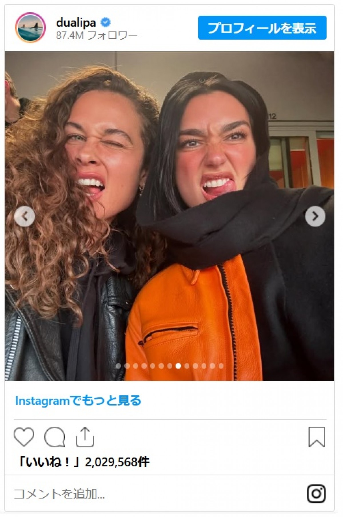 デュア・リパ＆カラム・ターナー、ラブラブショット大量公開