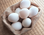 ゴミ清掃員芸人が“卵を1ヵ月保存する方法”を伝授！　「目から鱗」「知らんかった」と話題