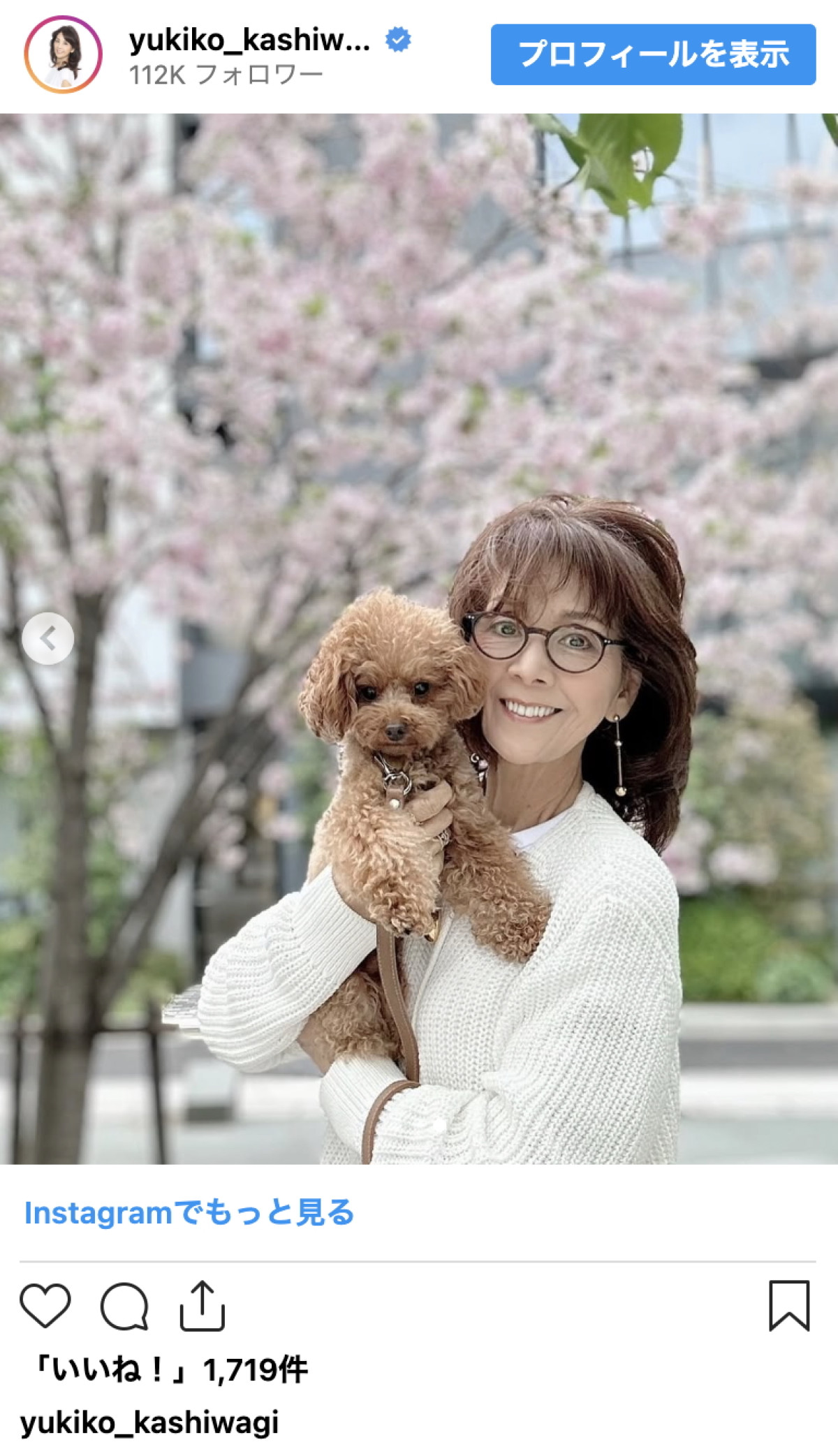 柏木由紀子77歳、年齢を忘れる透明感　春を楽しむワンシーンに「桜よりも綺麗」