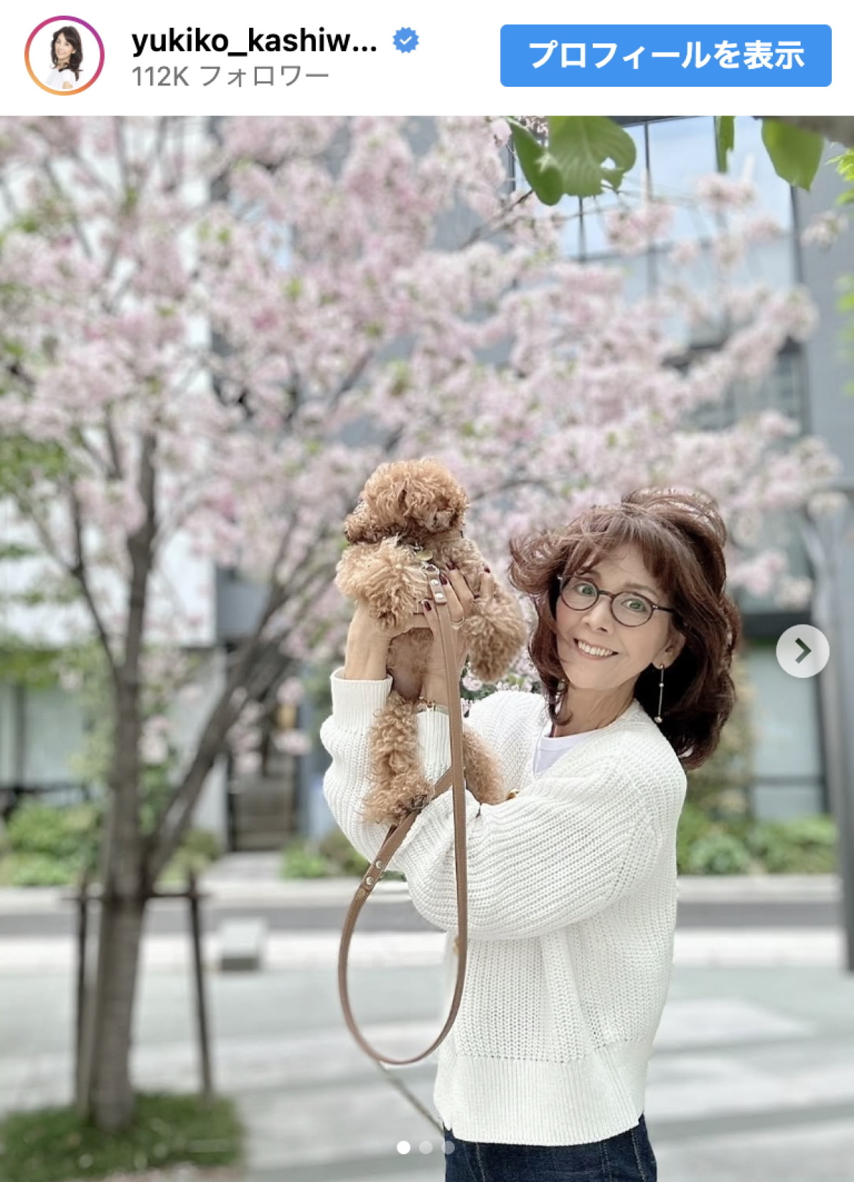 柏木由紀子、愛犬と一緒に桜を楽しむオフショット　※「柏木由紀子」インスタグラム