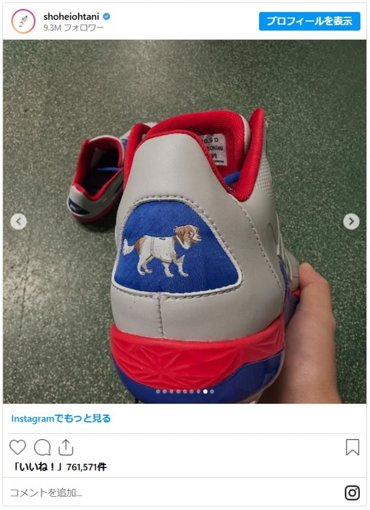大谷翔平に並ぶ人気者！ 愛犬・デコピン、2025年のかわいすぎる瞬間を振り返り 「いつ見ても癒し」「幸運のワンちゃん」