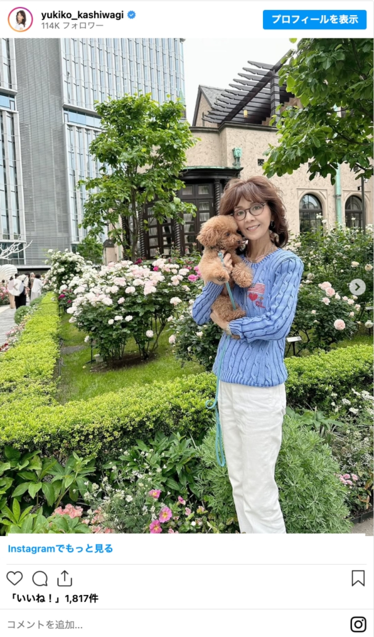 柏木由紀子77歳、爽やかブルーニットコーデに「美しくてうっとり」