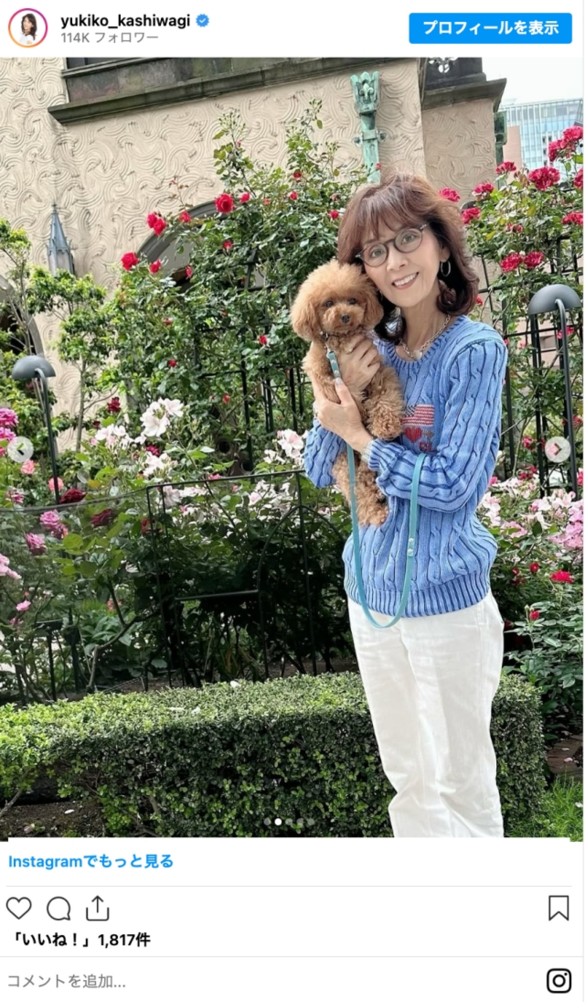 柏木由紀子77歳、爽やかブルーニットコーデに「美しくてうっとり」