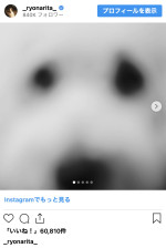 成田凌が超至近距離から撮影したレオちゃん　※「成田凌」インスタグラム