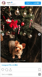 浜崎あゆみ、愛犬との思い出を振り返る　※「浜崎あゆみ」インスタグラム