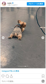 浜崎あゆみ、愛犬との思い出を振り返る　※「浜崎あゆみ」インスタグラム